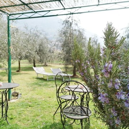 Agriturismo Conca Sandra - Farm Stay On Lake Como Perledo Exterior photo