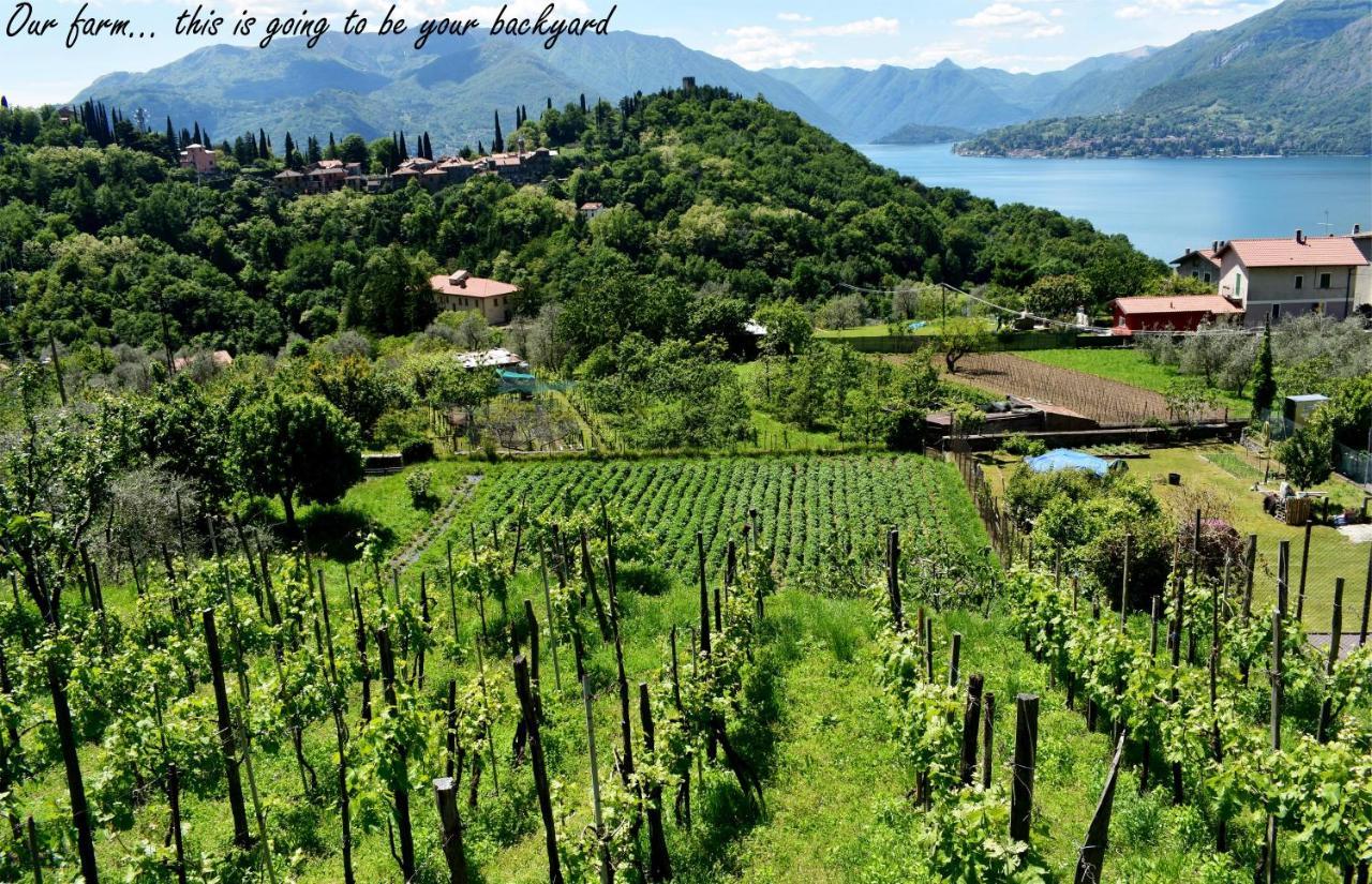 Agriturismo Conca Sandra - Farm Stay On Lake Como Perledo Exterior photo