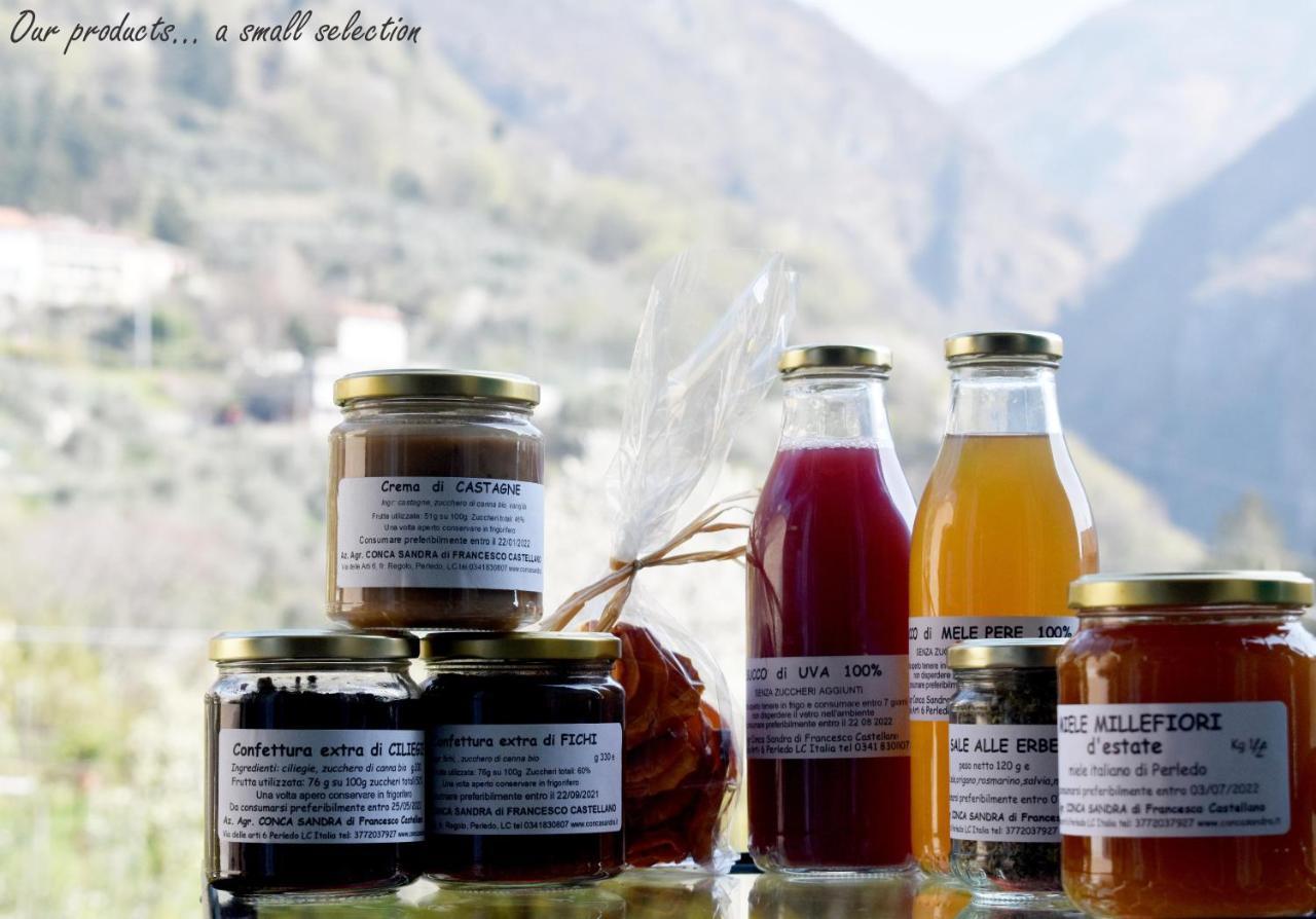 Agriturismo Conca Sandra - Farm Stay On Lake Como Perledo Exterior photo